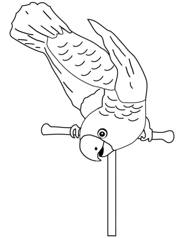 Parrot On Perch Coloring Page